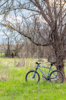 Kros disiplini için bir dağ bisikleti gün batımına karşı kuru bir ağacın altında durur. Sağlıklı Yaşam Tarzı Konsepti. Dikey yönelim