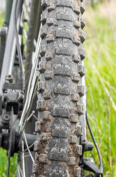 Una Sucia Pinchos Agrietado Neumático Bicicleta Montaña Hierba Verde Vista —  Fotos de Stock