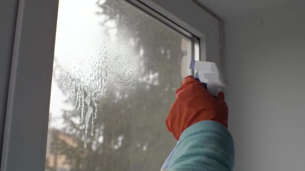 Eine Hand Einem Orangefarbenen Handschuh Sprüht Glasreiniger Auf Das Fenster — Stockvideo