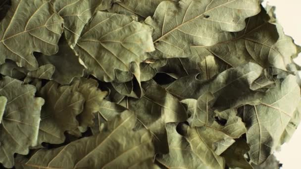 Una Scopa Bagno Quercia Trova Uno Sfondo Bianco Cablaggio Lento — Video Stock