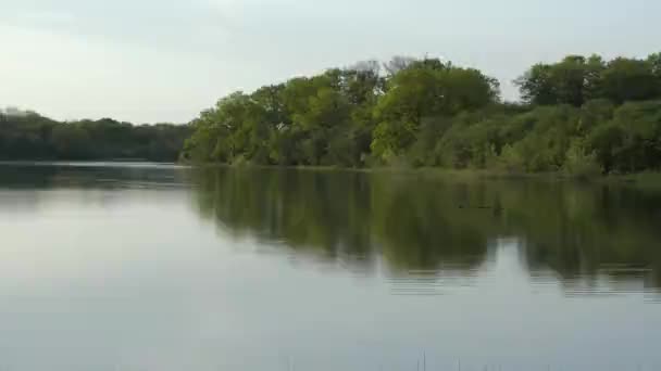 Jezioro Wieczornym Świetle Wodzie Można Zobaczyć Fale Gałęzi Odbicie Drzew — Wideo stockowe