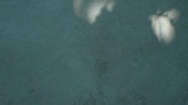 Alçıdan duvar yakın plan. Kamera hareketi sağdan sola