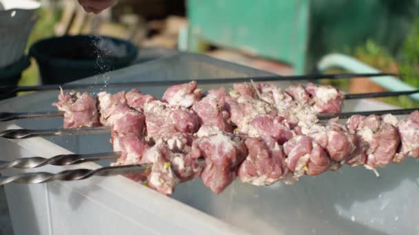 Nyárson Lógó Nyers Húst Sóval Locsolják Lassú Mozgás Shish Kebab — Stock videók