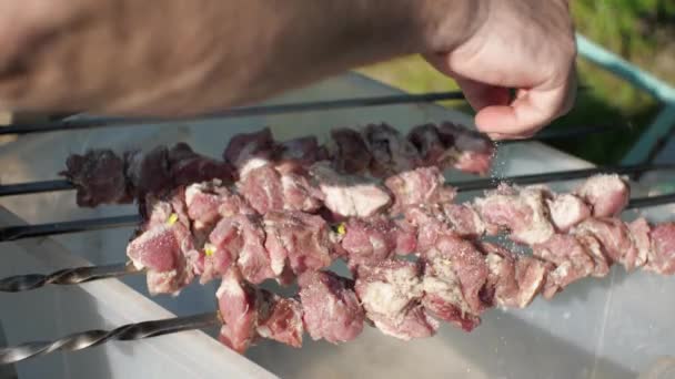 Mão Homem Polvilha Sal Num Prato Carne Crua Pendurado Espetos — Vídeo de Stock