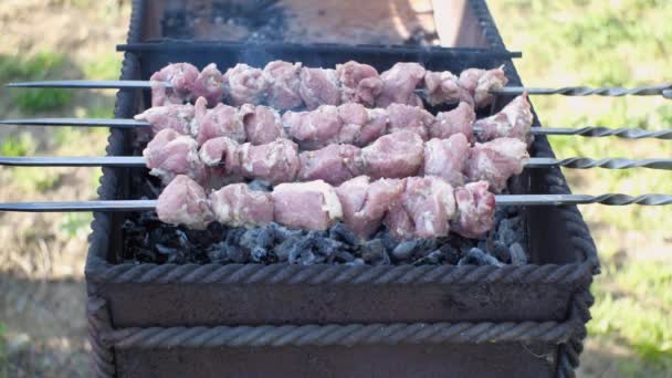 Φρέσκο Μαριναρισμένο Κρέας Κρεμασμένο Σουβλάκια Τηγανίζεται Στα Κάρβουνα Στη Σχάρα — Αρχείο Βίντεο