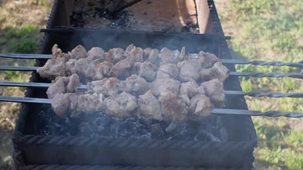 Carne Sugli Spiedini Viene Fritta Sui Carboni Alla Griglia Fumo — Video Stock