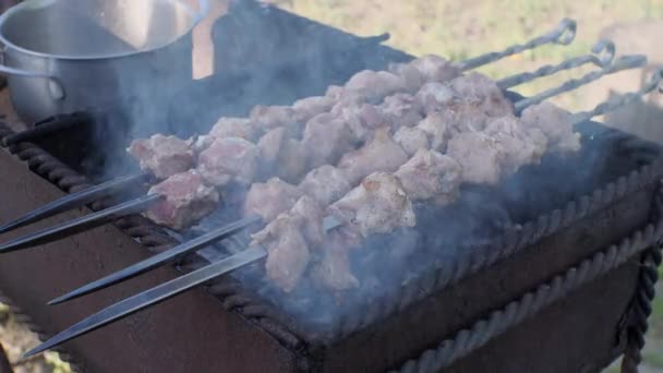 Shish Kebab Sur Des Brochettes Est Frit Sur Vieux Gril — Video