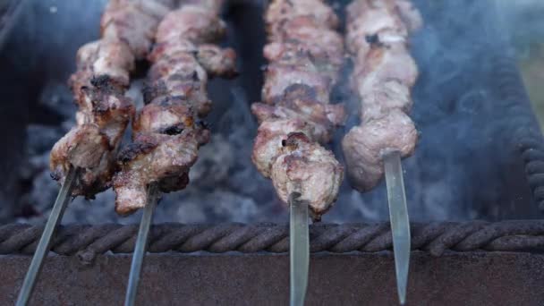 Kawałki Mięsa Smażone Grillu Biały Dym Wydobywa Się Węgla Shashlik — Wideo stockowe