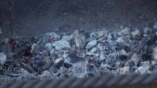 Βρέχει Κάρβουνα Από Κοντά Από Αυτούς Βγαίνει Ένας Μικρός Καπνός — Αρχείο Βίντεο