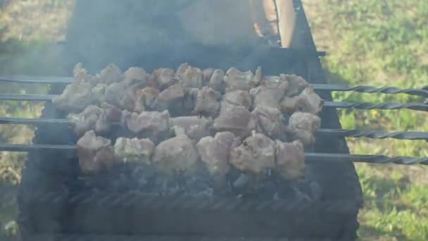 Pezzi Carne Vengono Fritti Sugli Spiedini Alla Griglia Fumo Dei — Video Stock