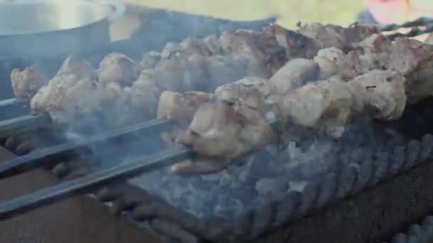 Pedaços Carne Espetos São Virados Sobre Brasas Fumaça Das Brasas — Vídeo de Stock