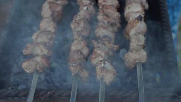 Pedaços Carne Espetos Brasas Grelha Vista Superior Shish Kebab Prato — Vídeo de Stock