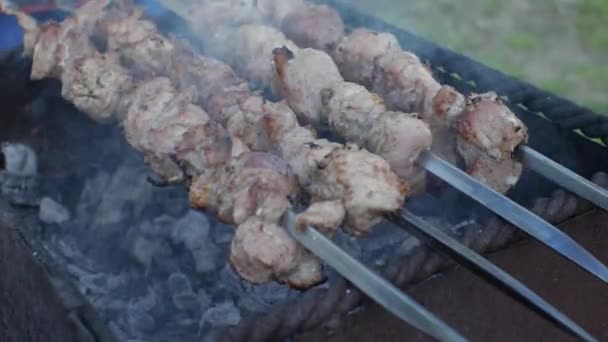 Shish Kebab Gebakken Grill Komt Rook Uit Kolen Close — Stockvideo