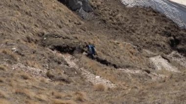 Sırtında sırt çantası ve iki tahta çubukla dar bir dağ yoluna tırmanan bir adam. Ulusal Park Yürüyüşü Konsepti
