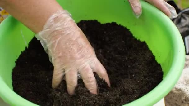 女性の愛する手は 花を移植するための盆地内の土壌を攪拌しています 園芸の概念 — ストック動画