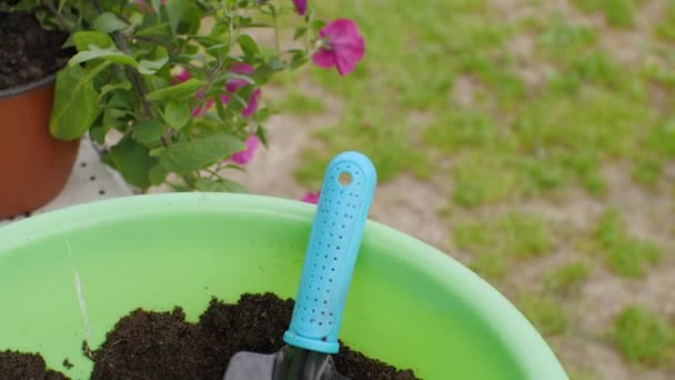 Green Basin Soil Flowers Spatula Table Camera Movement Gardening Concept — Stock Video