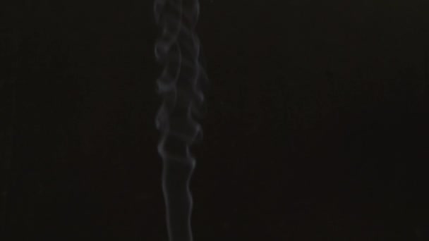 黒い背景に白い煙の渦巻き スローモーション アロマセラピーの概念 — ストック動画