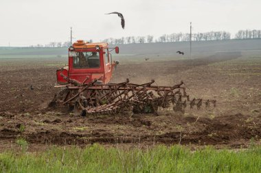 Eski bir sürüngen traktörü tarlayı sürüyor. Uçan karga sineklerinin üstünde. Tarım kavramı