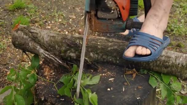 Мужчина Держит Ствол Дерева Ногой Режет Бензопилой Багажник Лежит Пне — стоковое видео