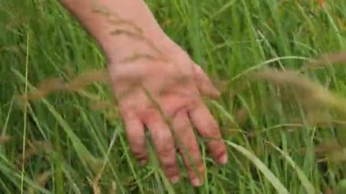 Bir kadının eli yeşil çimenleri okşar. Kamera, eli çimlerin arasından takip ediyor. Yavaş çekim