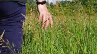 Sırtı kameraya dönük bir adam rüzgarda sallanan uzun otların arasında yürüyor. Sabit çerçeve