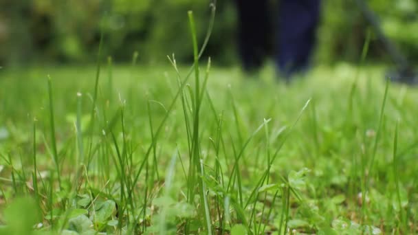 Ein Mann Sucht Mit Metalldetektor Grünen Gras Nach Einem Schatz — Stockvideo
