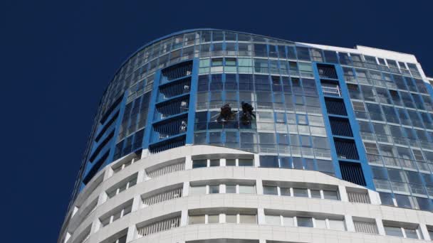 Zwei Industriekletterer Waschen Die Fassade Eines Modernen Bürogebäudes Statischer Rahmen — Stockvideo