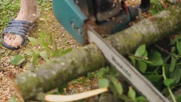 克拉斯诺达尔 克拉斯诺达尔领地 2021年5月28日 链锯木 慢动作的锯屑在人的腿上飞舞 — 图库视频影像