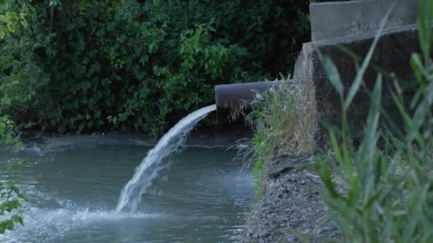 Σωλήνας Αποχέτευσης Μολύνει Περιβάλλον Απόρριψη Λυμάτων Στον Ποταμό — Αρχείο Βίντεο