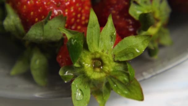Pas Gewassen Aardbeien Met Groene Bladeren Liggen Een Bord Een — Stockvideo