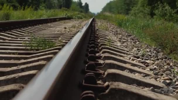 Trilhas Ferroviárias Travessas São Cobertas Com Cascalho Fundo Grama Floresta — Vídeo de Stock