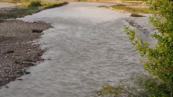 Górska Rzeka Brązową Wodą Tle Lasu Zachmurzonego Nieba Ruch Kamery — Wideo stockowe