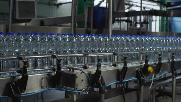 Sacco Bottiglie Plastica Blu Acqua Minerale Stanno Muovendo Lungo Trasportatore — Video Stock