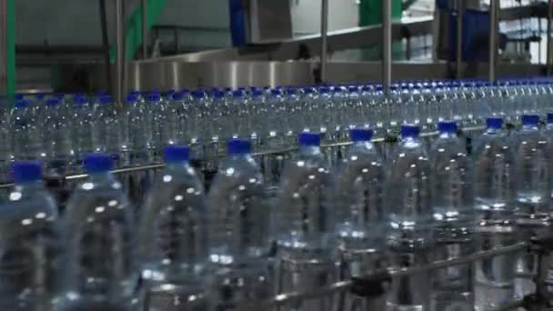 Las Botellas Plástico Agua Mineral Mueven Largo Del Transportador Tres — Vídeos de Stock