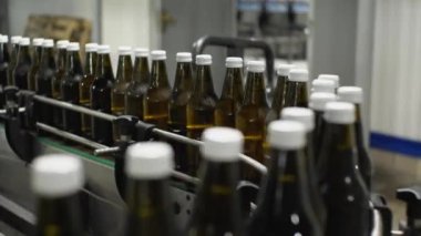 İçinde maden suyu olan cam şişeler taşıyıcı boyunca hareket ediyor. Gıda endüstrisinde içme suyu üretim hattı