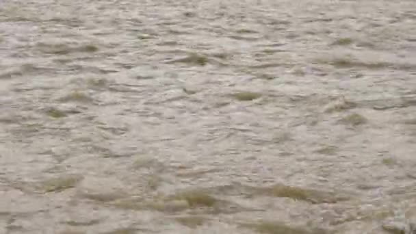 Agua Marrón Del Río Después Lluvia Orilla Con Grandes Piedras — Vídeos de Stock