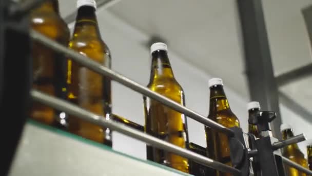 Brown Glass Water Bottles Conveyor Belt Bottom View Shop Production — Stock Video