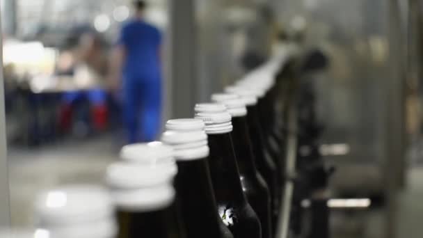 Primer Plano Las Botellas Agua Vidrio Transportador Enfoque Las Tapas — Vídeo de stock