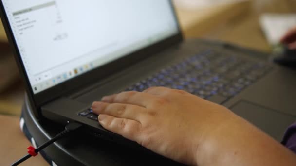 Een Vrouw Thuis Die Aan Een Laptop Werkt Het Concept — Stockvideo