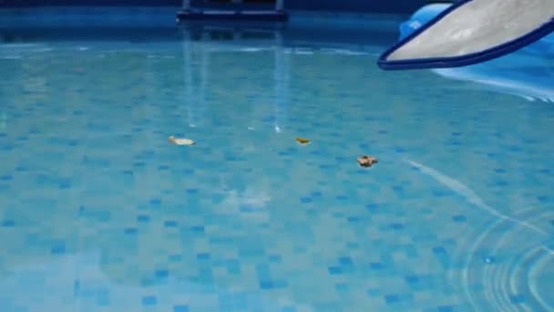 Close Van Het Schoonmaken Van Het Zwembad Van Bladeren Met — Stockvideo