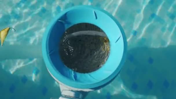 Limpiador Piscinas Saca Las Hojas Superficie Del Agua Vista Superior — Vídeos de Stock