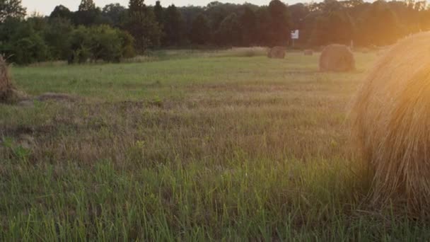 Ronde Hooibalen Het Veld Stralen Van Ondergaande Zon Camera Beweegt — Stockvideo