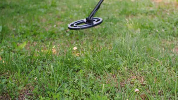 金属探知機は 金属探索のために緑の芝生の上に横から移動しています — ストック動画