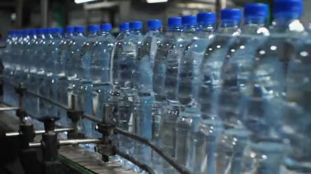 Närbild Mineralvatten Blå Plastflaskor Som Rör Sig Längs Transportören Produktion — Stockvideo