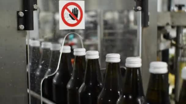 玻璃瓶在输送机生产线上生产矿泉水和软饮料 — 图库视频影像
