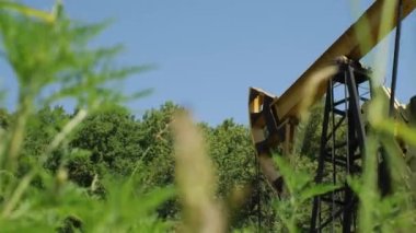 Petrol pompası operasyonu. Ham maddeler yerden pompalanır. Kamera çimlerin arasında soldan sağa hareket eder. Alt manzara. Petrol üretimi kavramı