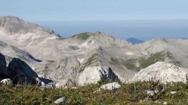 山の峰を背景にした観光用バックパックときれいな水のボトル 国立自然保護区 — ストック動画