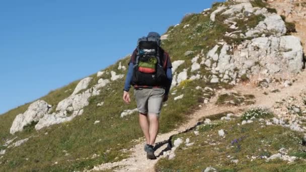 Hombre Pantalones Cortos Con Una Mochila Cima Montaña Concepto Caminatas — Vídeo de stock