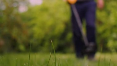 Metal detektörü olmayan bir adam metal arıyor. Rüzgarda sallanan çimenlere odaklan.