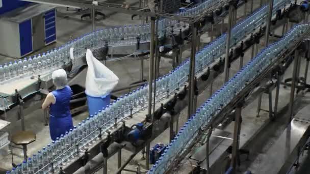 Linea Trasporto Con Bottiglie Plastica Uno Stabilimento Produzione Acqua Minerale — Video Stock